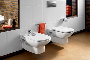 Унитазы Roca Dama Senso, Roca Victoria, Roca Mitos: описание, характеристики и отзывы покупателей