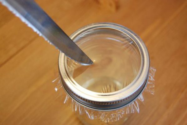 мухоловка из банки и пленки