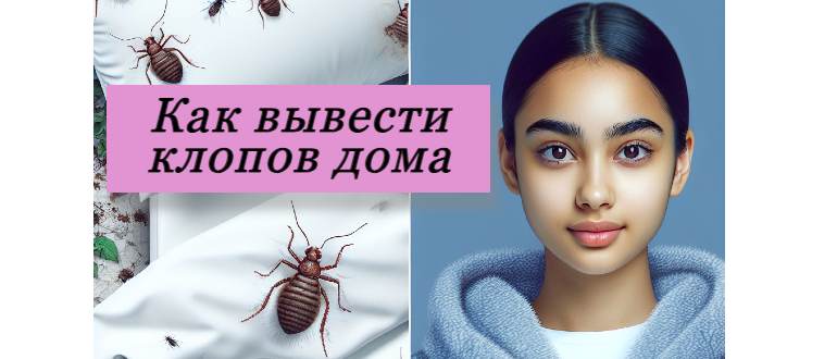 Как можно вывести клопов в домашних условиях химическими средствами: обзор эффективных средств